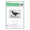 Australian Magpie cross stitch kit